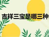 吉祥三宝是哪三种生肖（吉祥三宝打一生肖）