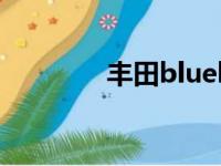 丰田bluebird（bluebird）