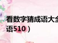 看数字猜成语大全及答案100个（看数字猜成语510）