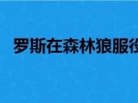 罗斯在森林狼服役几号（罗斯签约森林狼）