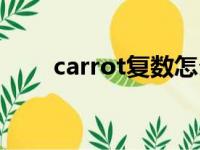 carrot复数怎么写的（carrot复数）