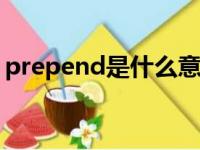 prepend是什么意思（pretend是什么意思）