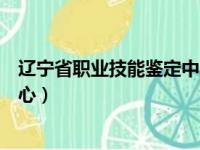 辽宁省职业技能鉴定中心成绩查询（辽宁省职业技能鉴定中心）