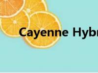 Cayenne Hybrid车型的最终耐力测试