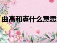 曲高和寡什么意思解释（曲高和寡什么意思）