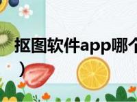 抠图软件app哪个好用（抠图软件app哪个好）