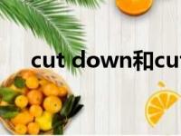 cut down和cut off区别（cut down）