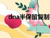 dna半保留复制实验（dna半保留复制）