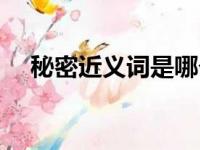 秘密近义词是哪个（秘密近义词是什么）