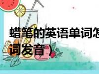 蜡笔的英语单词怎么读英式发音（蜡笔英语单词发音）