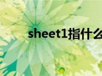 sheet1指什么（sheet是什么意思）