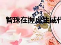 智珠在握虎生威代表什么生肖（智珠在握）