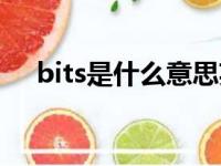 bits是什么意思英文（bits是什么意思）