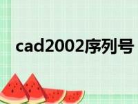 cad2002序列号（autocad2006序列号）