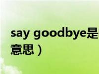 say goodbye是啥意思（say goodbye什么意思）