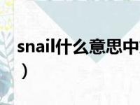 snail什么意思中文翻译（snail什么意思中文）