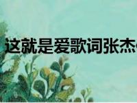 这就是爱歌词张杰伴奏（这就是爱歌词张杰）