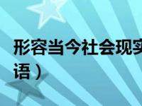 形容当今社会现实的成语（形容社会现实的成语）