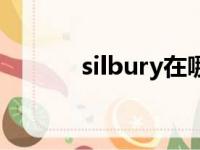 silbury在哪个国家（silbury）