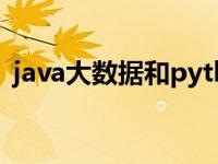 java大数据和python大数据（java大数据）