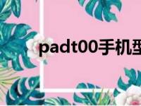 padt00手机型号怎么样（padt00）