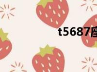 t5687座位图（t5687）