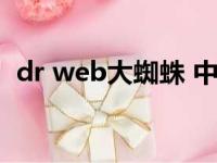 dr web大蜘蛛 中国官网（dr web大蜘蛛）