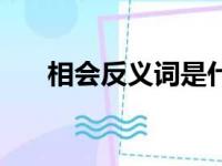 相会反义词是什么词（相会的反义词）