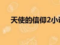 天使的信仰2小说百度云（天使的信仰）