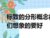 标致的分形概念得到了正式的演示 甚至比我们想象的要好