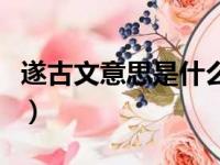 遂古文意思是什么解释（遂古文中意思是什么）