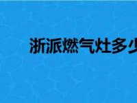 浙派燃气灶多少钱一台（浙派燃气灶）