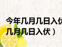 今年几月几日入伏今年入伏从哪天算起（今年几月几日入伏）