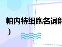 帕内特细胞名词解释组织胚胎学（帕内特细胞）