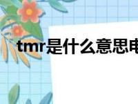 tmr是什么意思电子表（tmr是什么意思）