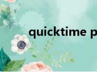 quicktime player（quick time）