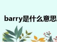 barry是什么意思翻译（barry是什么意思）