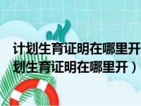 计划生育证明在哪里开没有结婚在什么地方办婚姻证明（计划生育证明在哪里开）