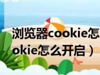 浏览器cookie怎么开启安卓vivo（浏览器cookie怎么开启）