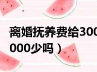 离婚抚养费给3000少吗现在（离婚抚养费给3000少吗）