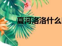 夏河洛洛什么时候分手（夏河洛洛）