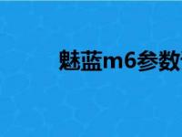 魅蓝m6参数详细参数（魅蓝m6）