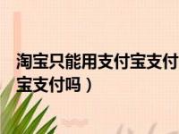 淘宝只能用支付宝支付吗微信可以付钱吗（淘宝只能用支付宝支付吗）