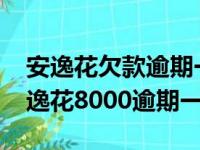 安逸花欠款逾期一年5000多会被起诉吗（安逸花8000逾期一年）