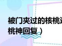 被门夹过的核桃还可以吃吗?（被门夹过的核桃神回复）