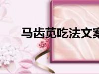 马齿苋吃法文案来一个（马齿苋吃法）