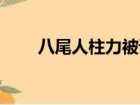 八尾人柱力被谁捉了（八尾人柱力）