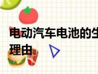 电动汽车电池的生产可能是特斯拉进入的最佳理由