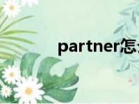 partner怎么读（pair怎么读）