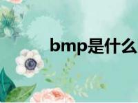 bmp是什么图片（bmp是什么）